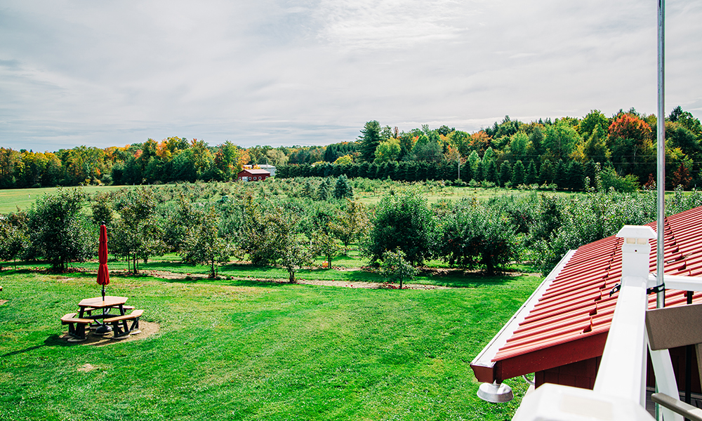 red_roof